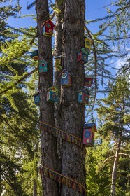 Arboretum de Roure, l'art et l'arbre, Michèle Kleijnen, Peintre Plasticienne