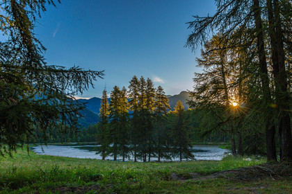 Mélezein au lac de Roue
