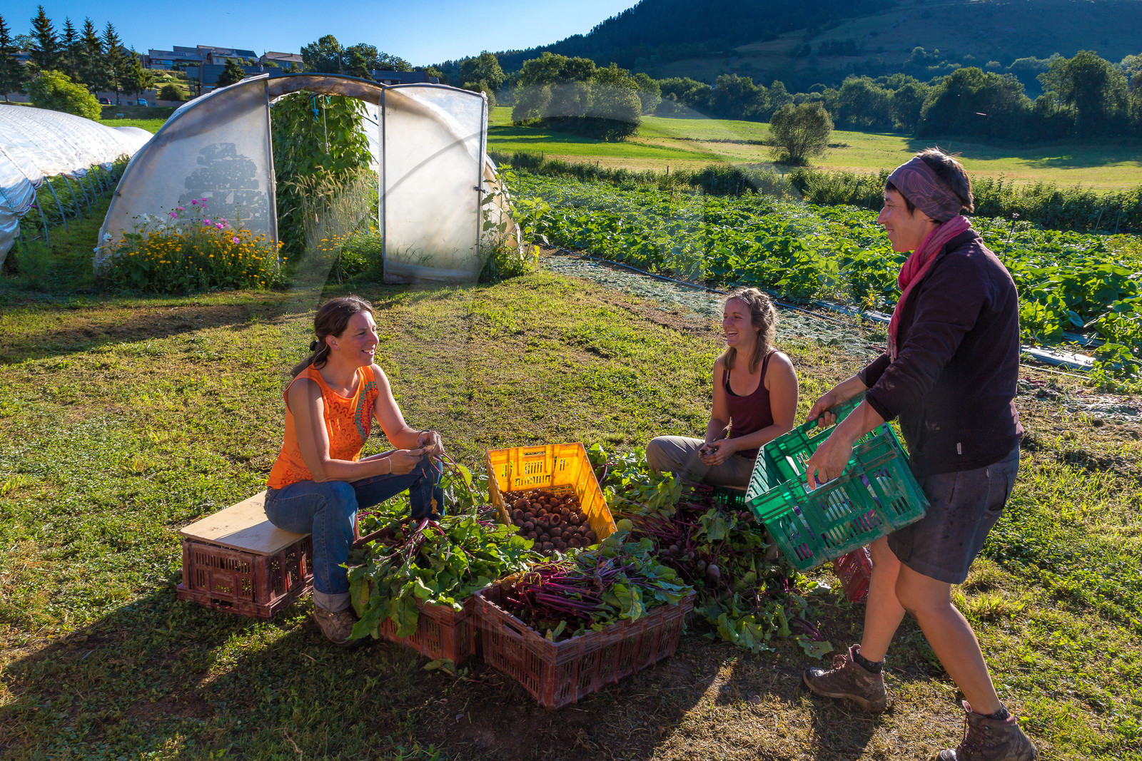 LéguMontagne, Sylvie Jaussaud et  Bertille Gieu, Maraîchères bio