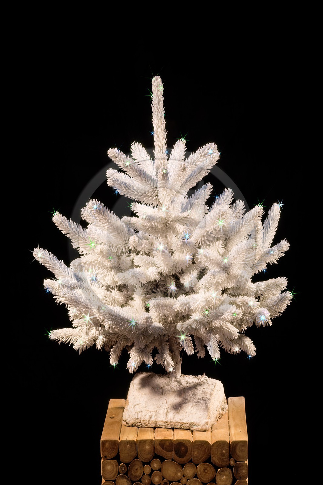 Pépinière Robin, sapin de Noël, sapin diamant