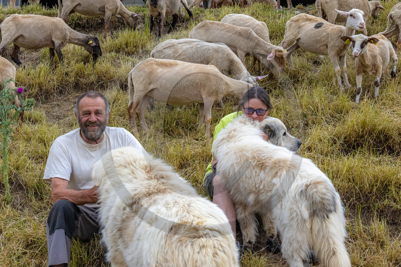 Turriers, Ingrid Briclot et André Maurel, éleveurs