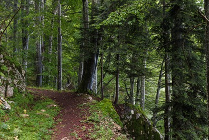 ENS de l'Isère, Les Ecouges