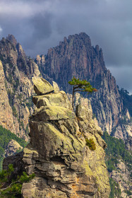 Les Aiguilles de Bavella (forchi di Bavedda )