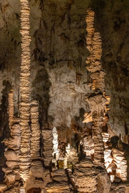 Grotte de Dargilan