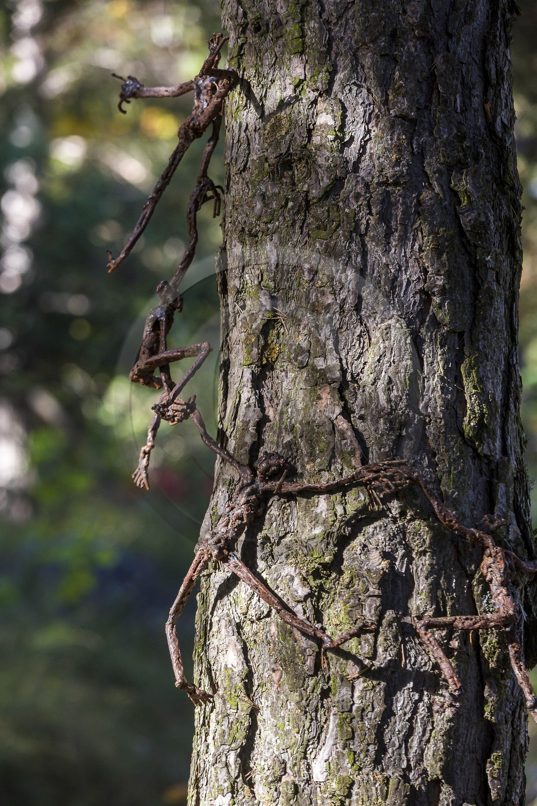 Arboretum de Roure, l'art et l'arbre, Louis Dollé, sculpteur Imagier
