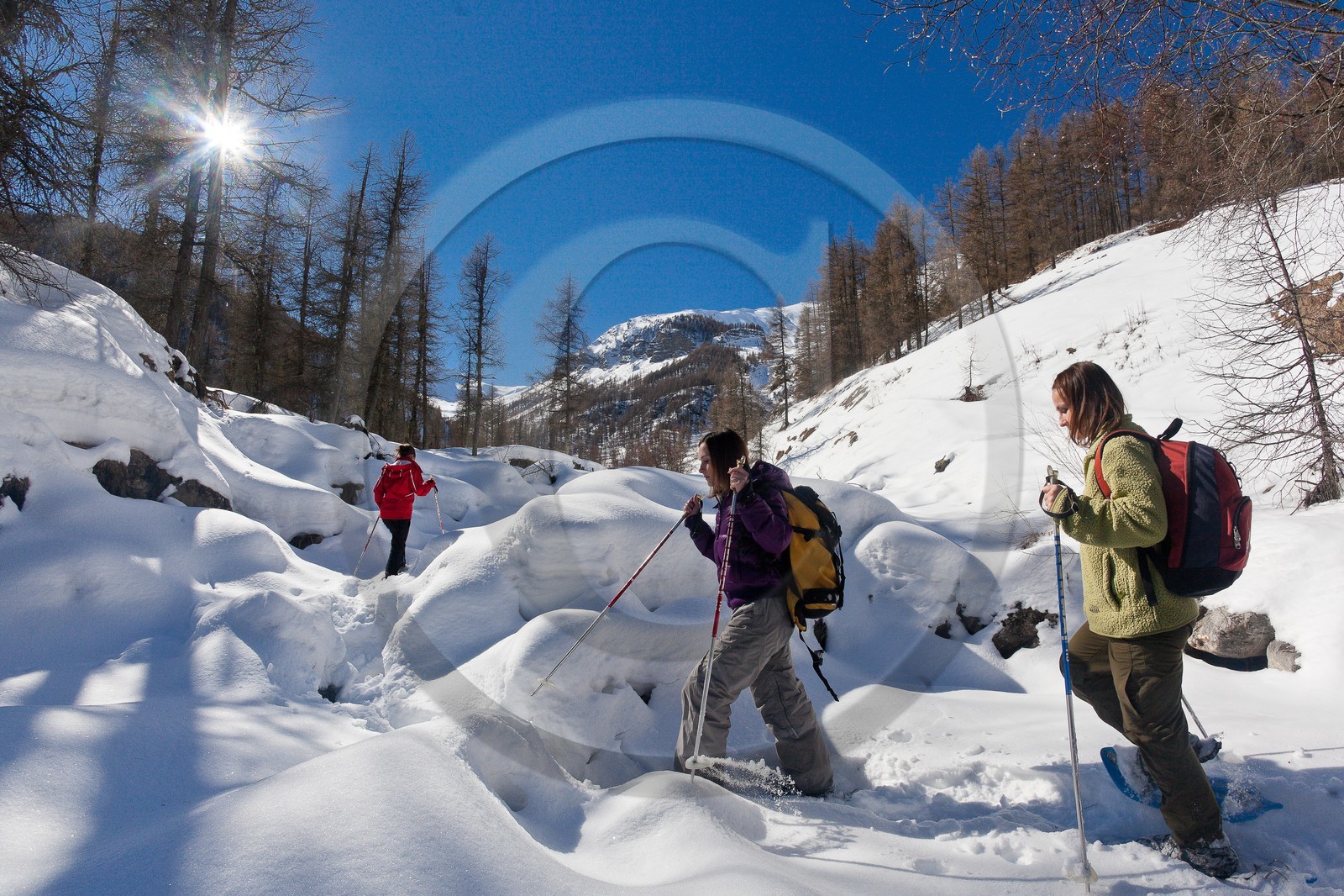 Randonnée raquettes