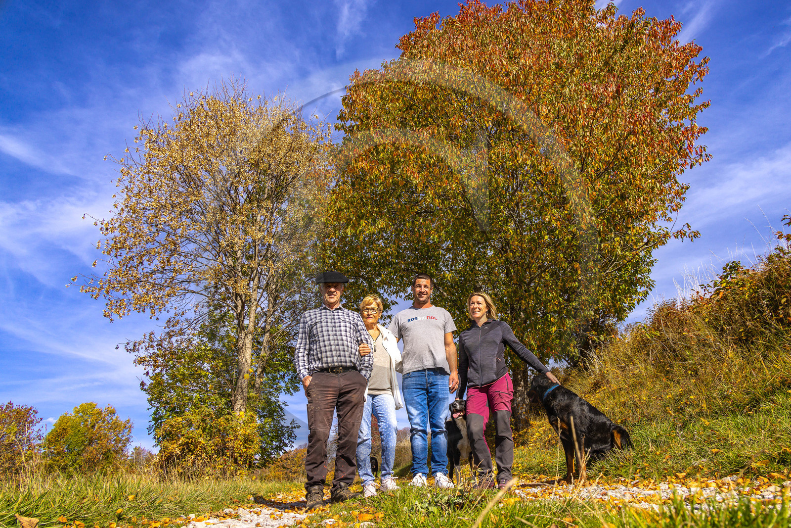 Ferme des Sonnailles, élevage et vente directe d'agneau