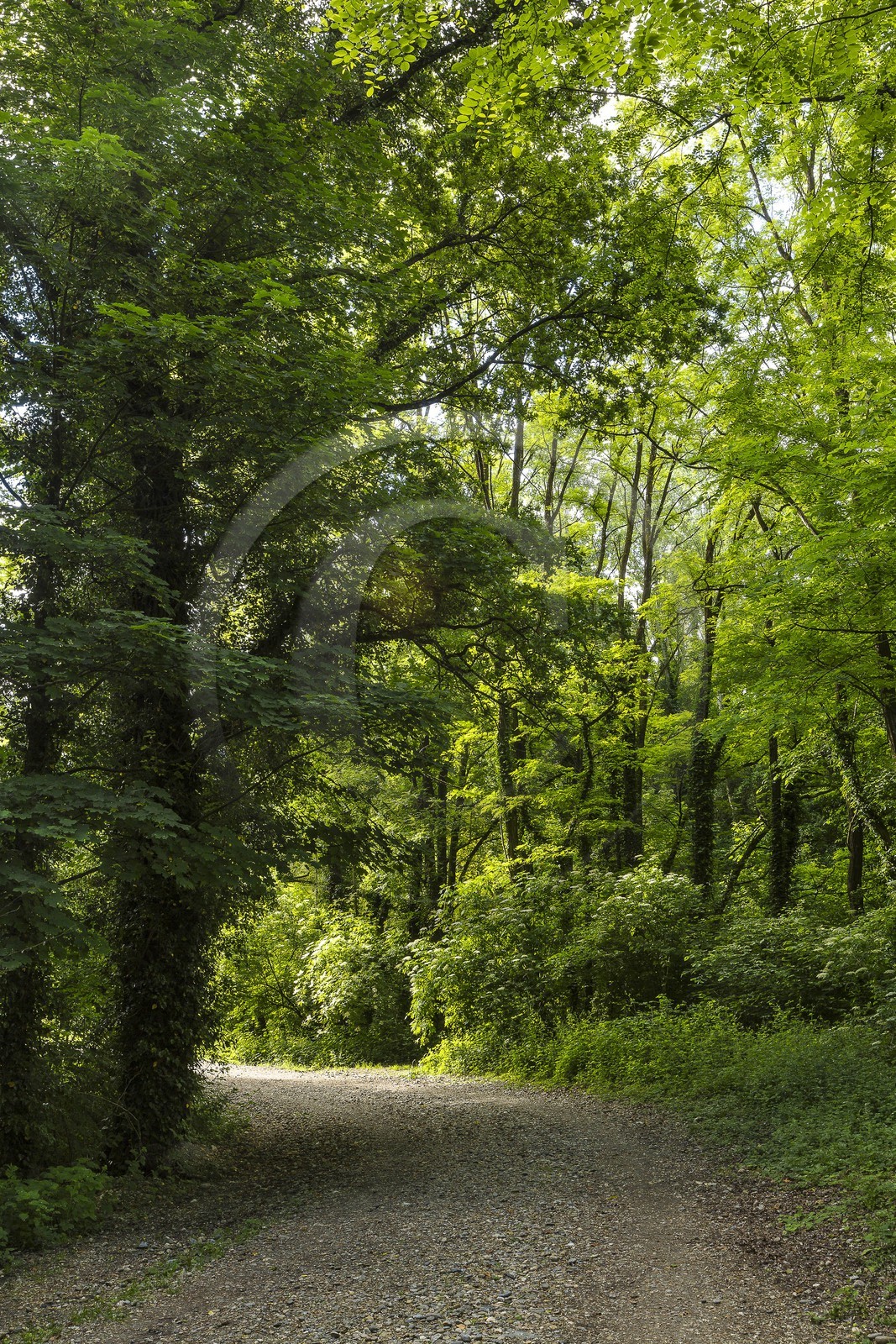 ENS de l'Isère, Boucle de la Taillat