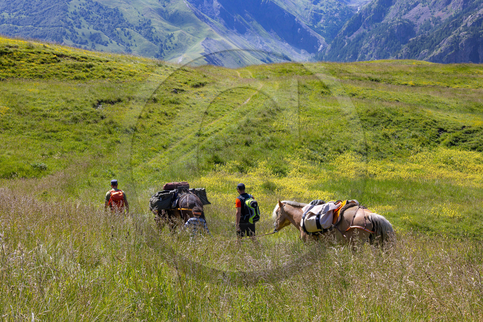 Trek famille avec animaux de bats