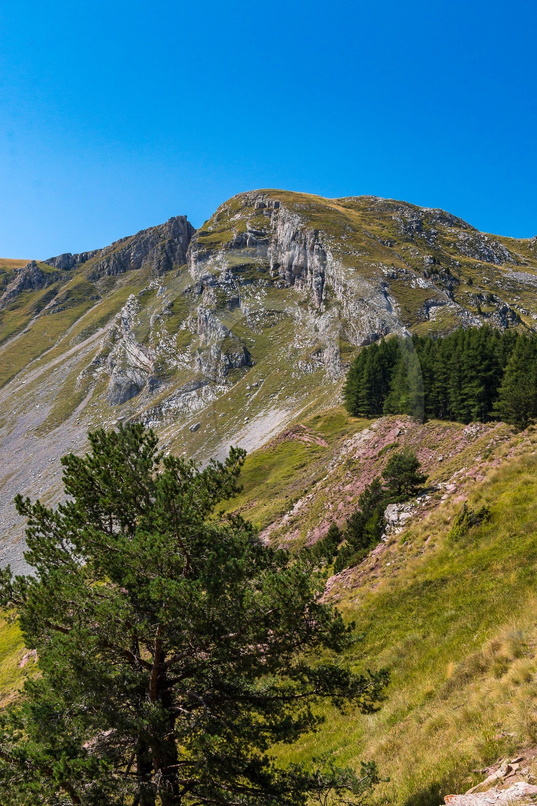 Les Monges, Coste Belle et les Monges 2115 m