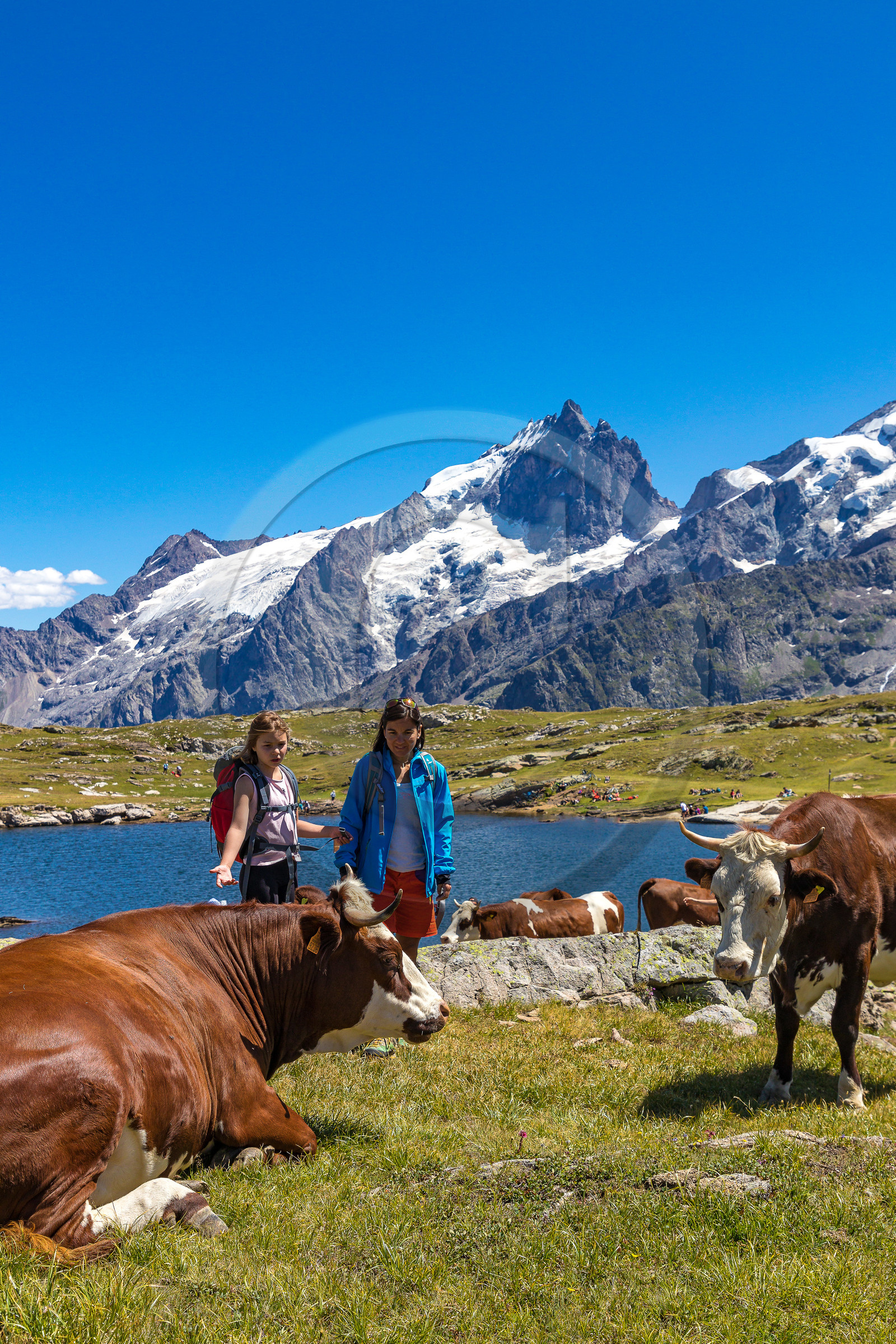 Plateau d'Emparis, randonnée pédestre