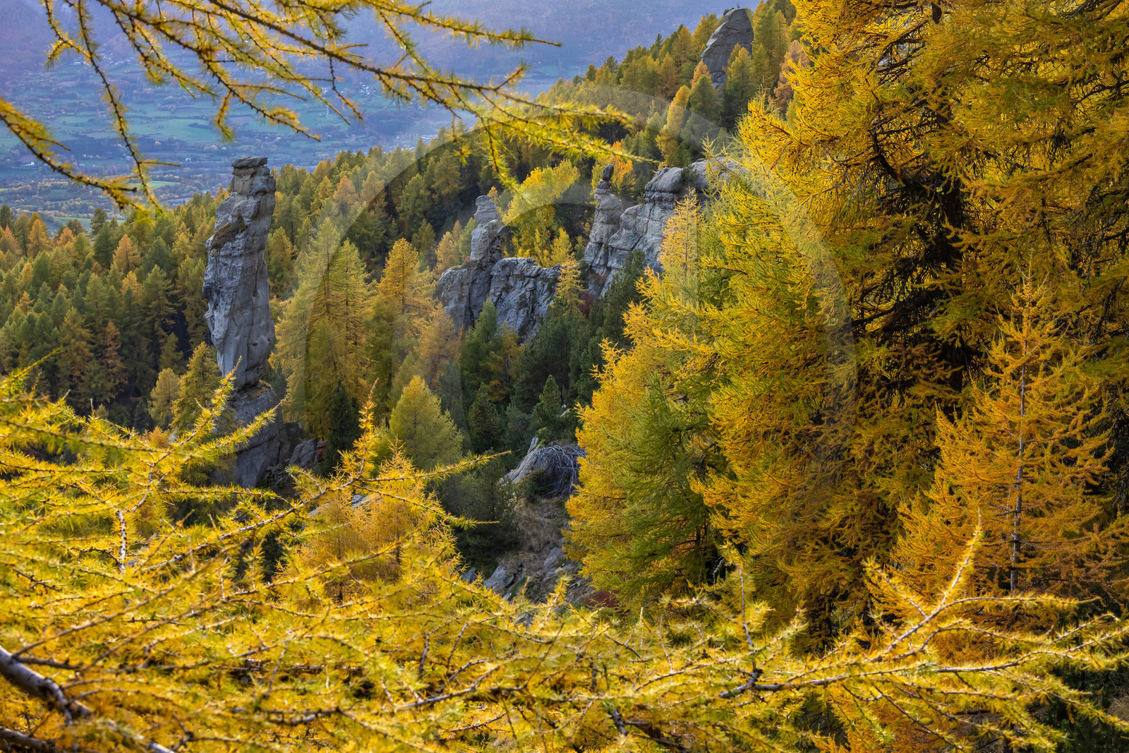 L'automne dans la Vallée du Champsaur