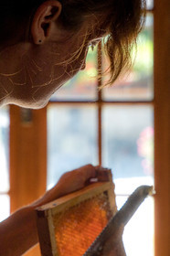 Margaux and Didier Pissard, beekeepers