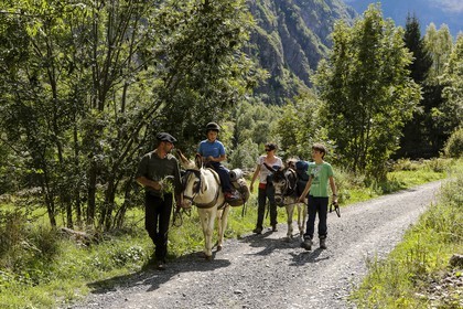 Yohann Masnada, accompagnateur ânier
