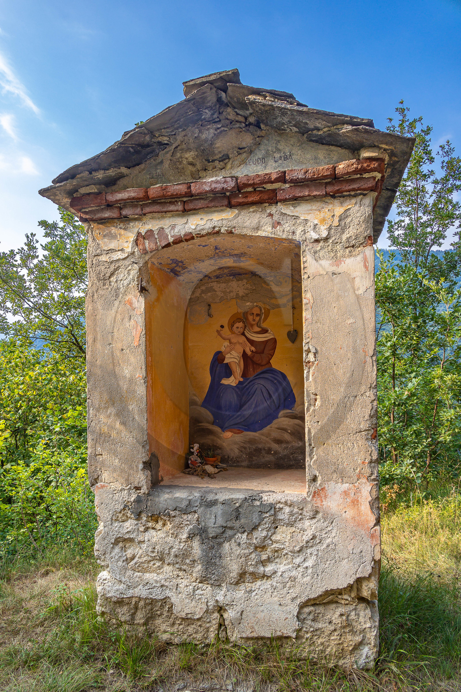 Camoglieres, sentier des cyclamens