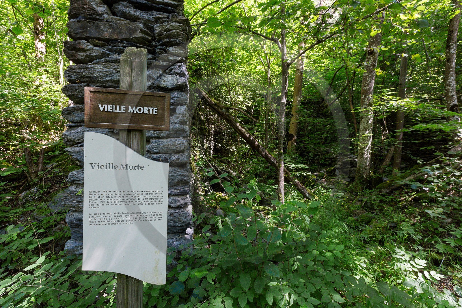 ENS de l'Isère, Vieille morte de Bourg d'Oisans
