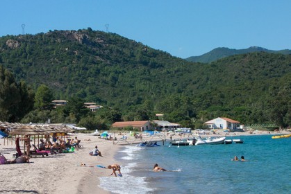 Favone