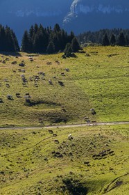 ENS de l'Isère, Plateau de la Molière et du Sornin
