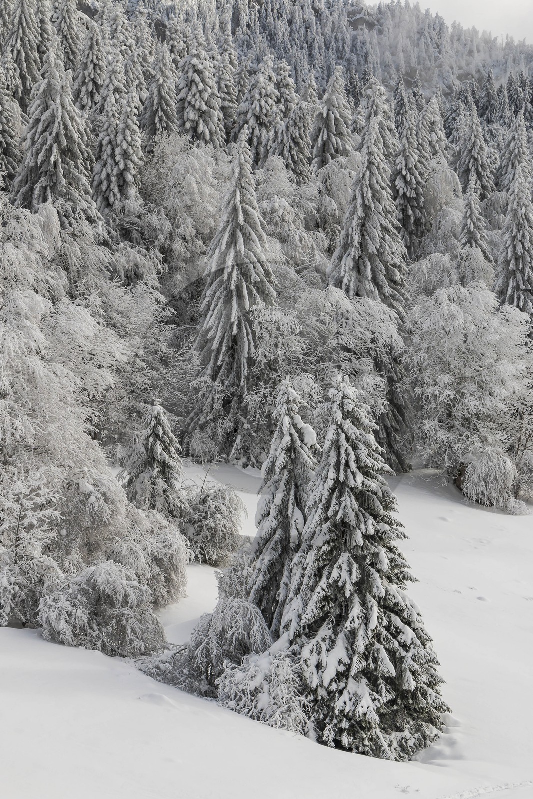 ENS de l'Isère, Les Ecouges