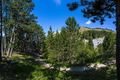 Forêt domaniale du Vanson