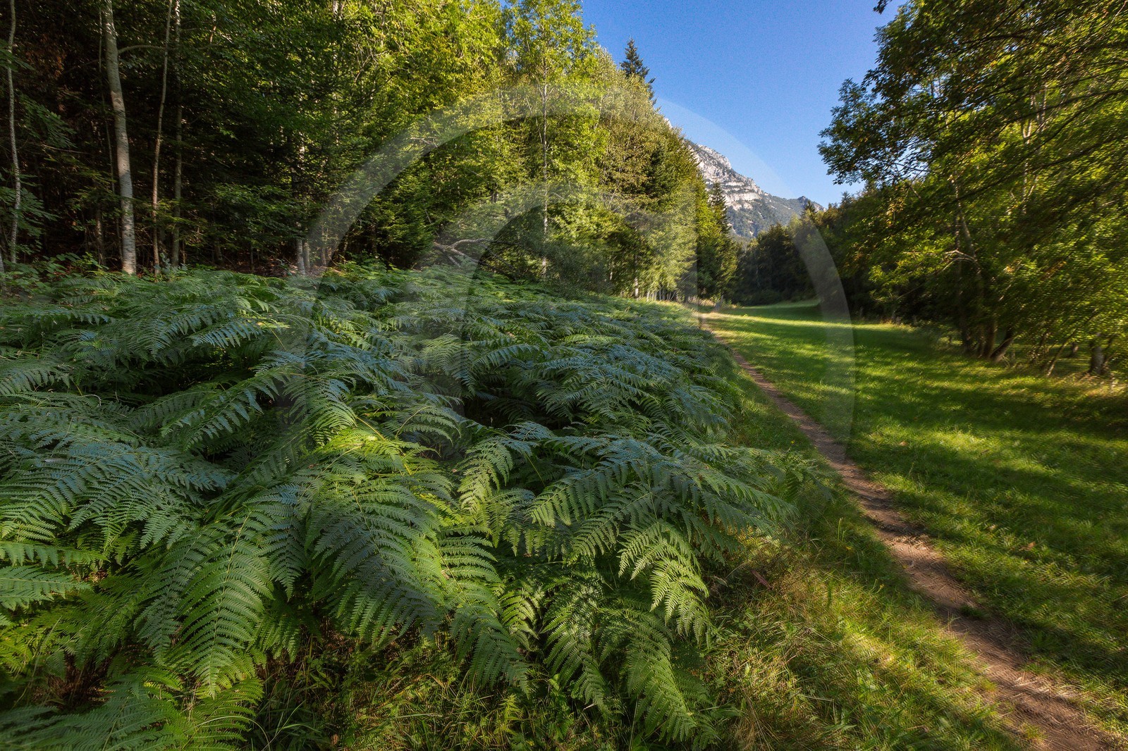 ENS de l'Isère,Tourbières du Peuil