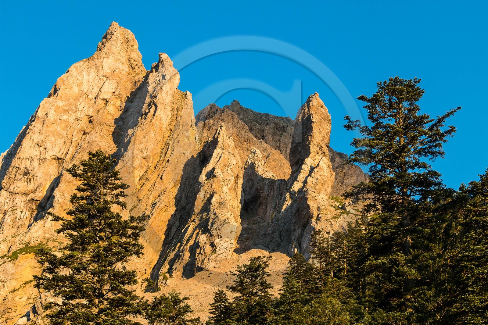 vallon de La Jarjatte