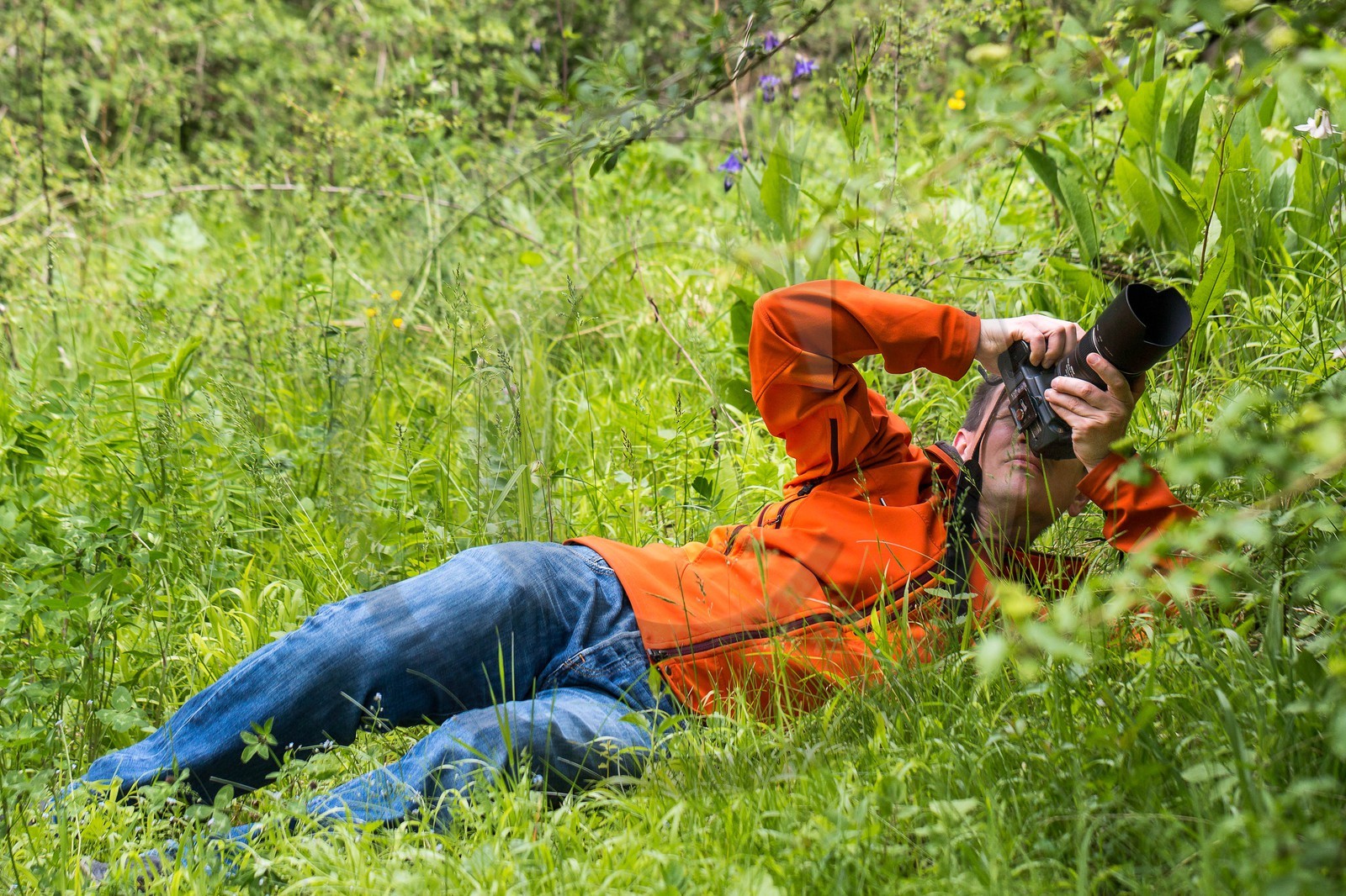 Parc écologique Terre Vivante, stage photo macro nature