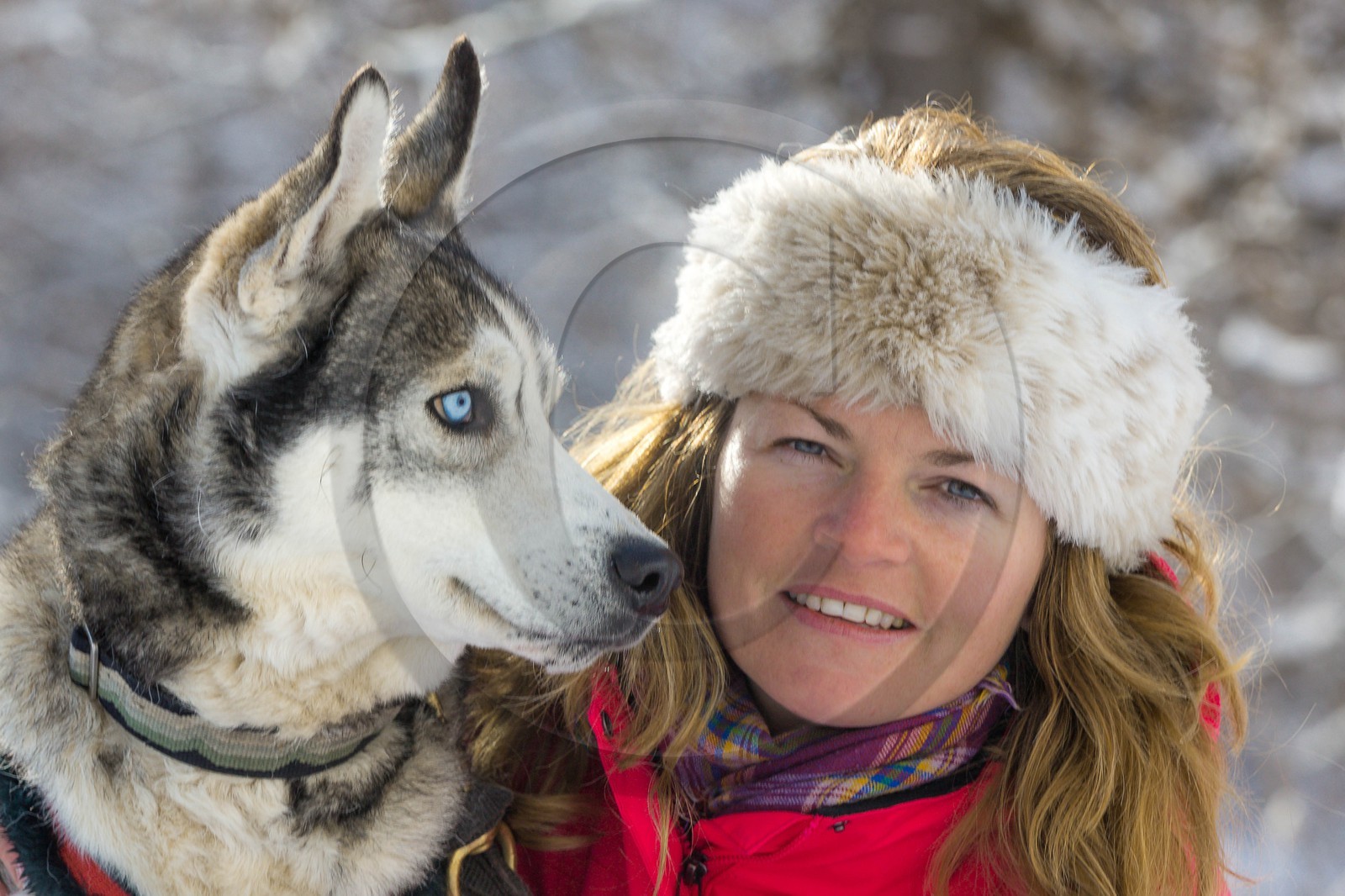 La Condamine-Châtelard, Sainte-Anne la Condamine, Coralie Bonnerot et ses chiens de traineau