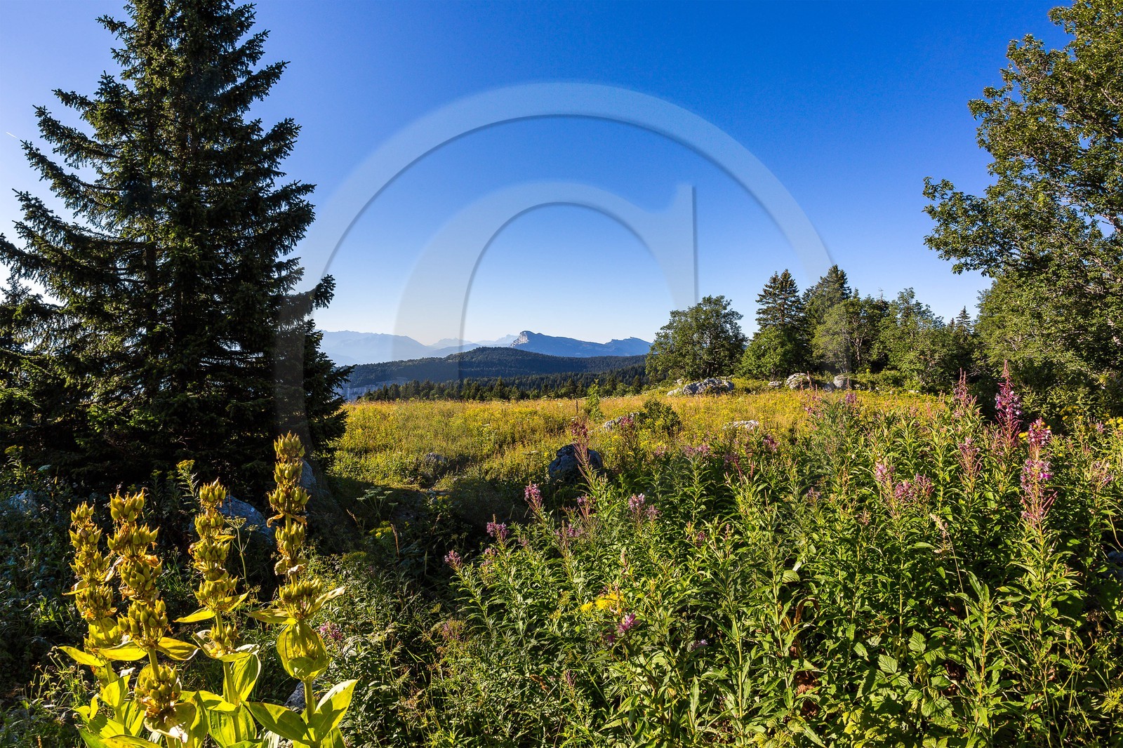 ENS de l'Isère, Plateau de la Molière et du Sornin, du plateau de Sornin