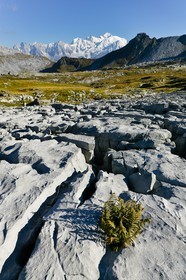 Désert de Platé, le Dérochoir et le Mont-Blanc