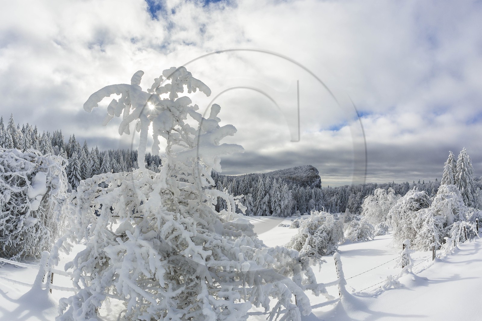 ENS de l'Isère, Les Ecouges