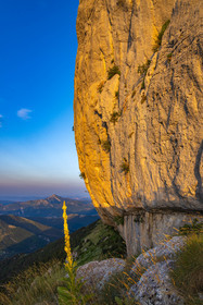Montagne de Céüse
