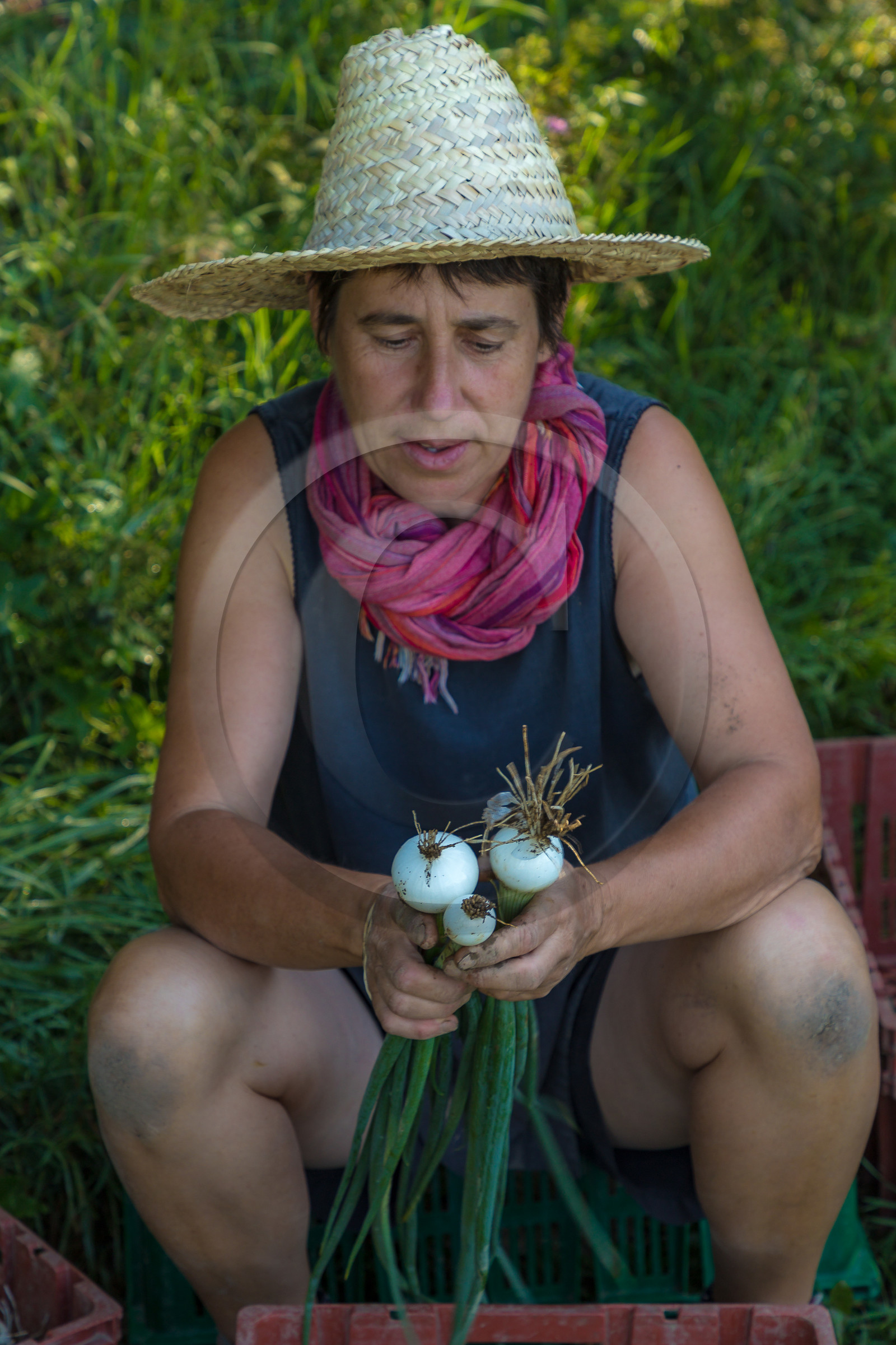 LéguMontagne, Sylvie Jaussaud et  Bertille Gieu, Maraîchères bio