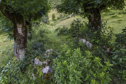 ENS de l'Isère, vallée fossile des Rimets