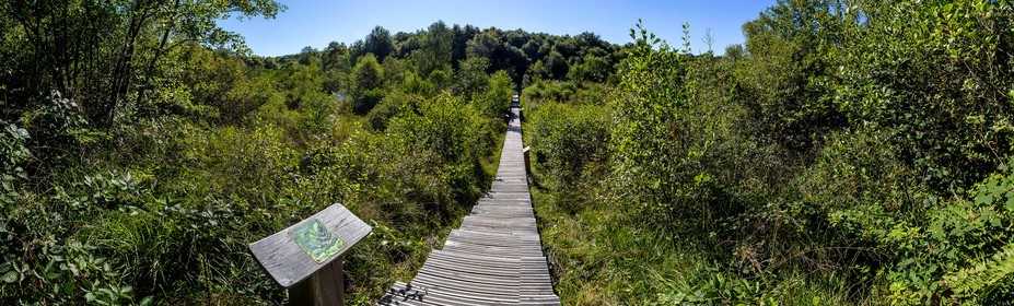 ENS de l'Isère, Tourbière des Planchettes