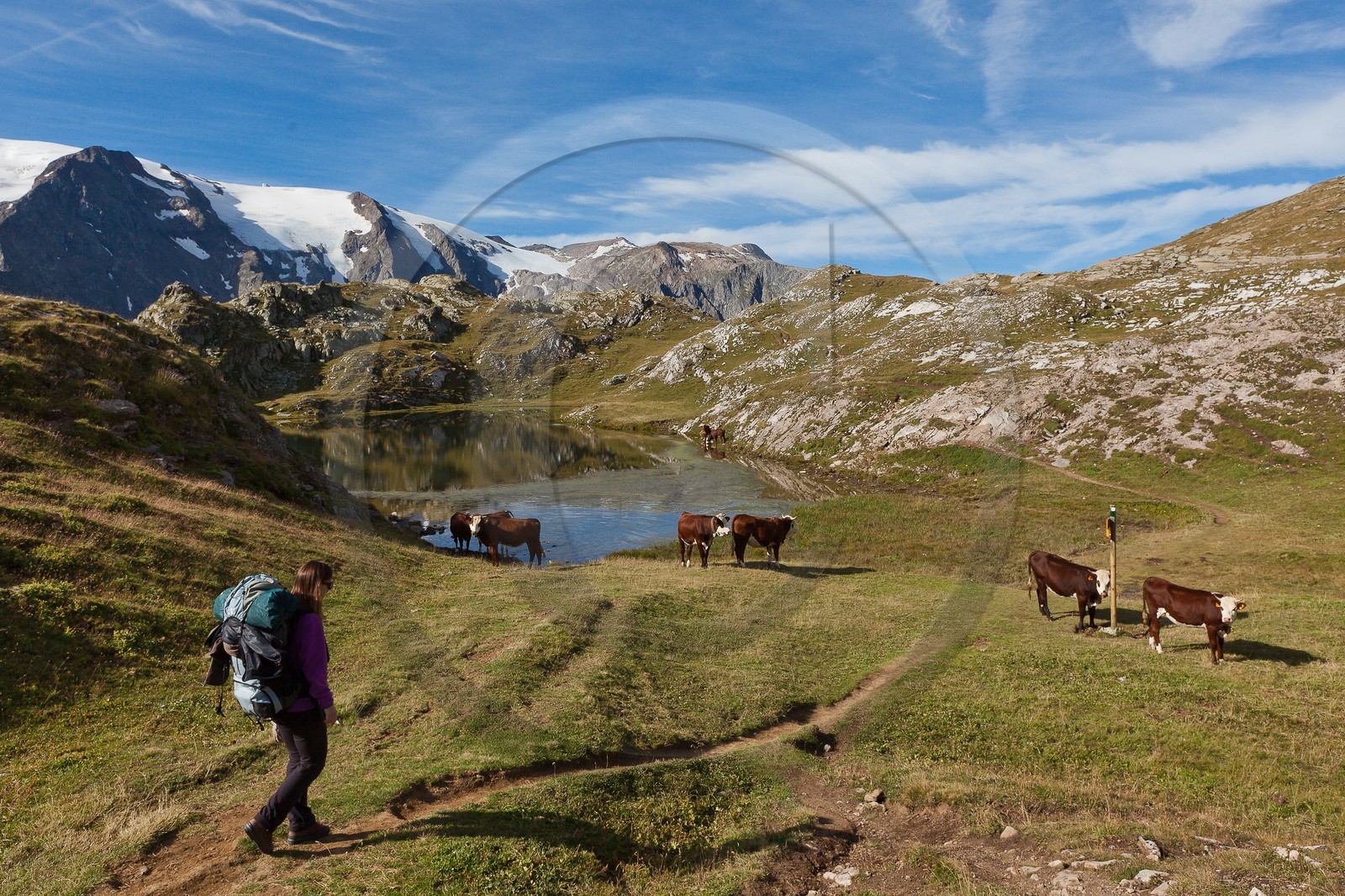 Plateau d'Emparis, Lac Lérié