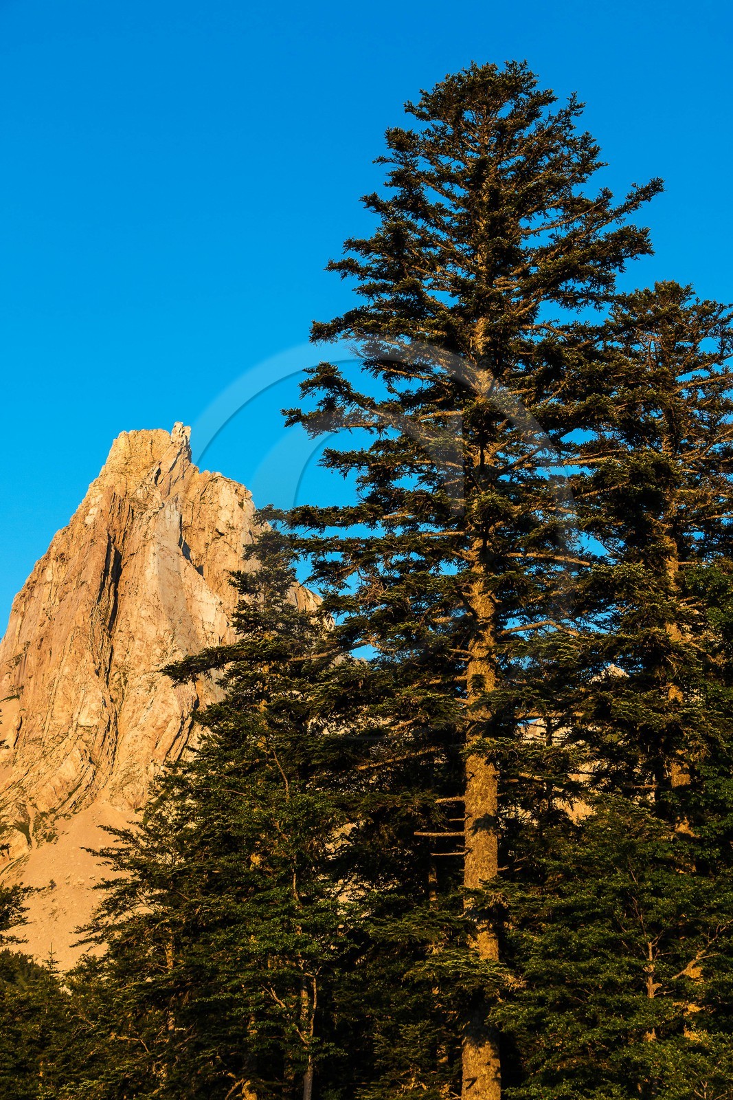 vallon de La Jarjatte