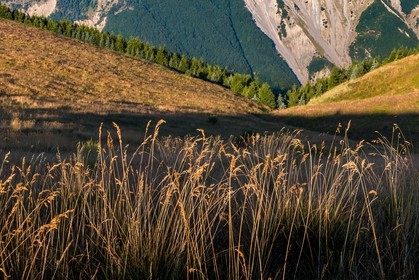 Montagne du Gau , les Clots