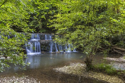 ENS de l'Isère, Zone humide de la Merlière