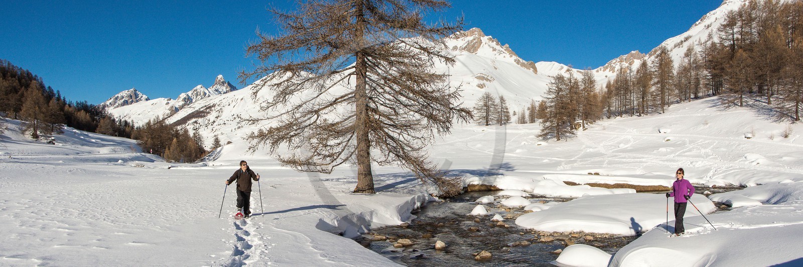 Col de Larche, vallon du lauzanier, randonnée raquettes