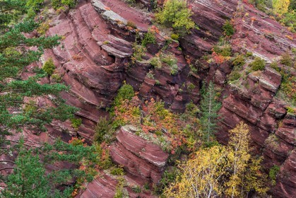 Gorges de Daluis