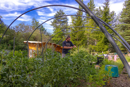 Camping municipal Le Mousserein