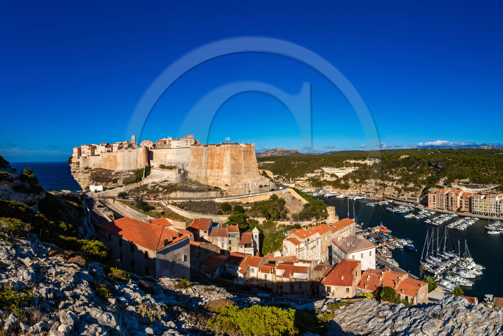 La citadelle et le port de Bonifacio