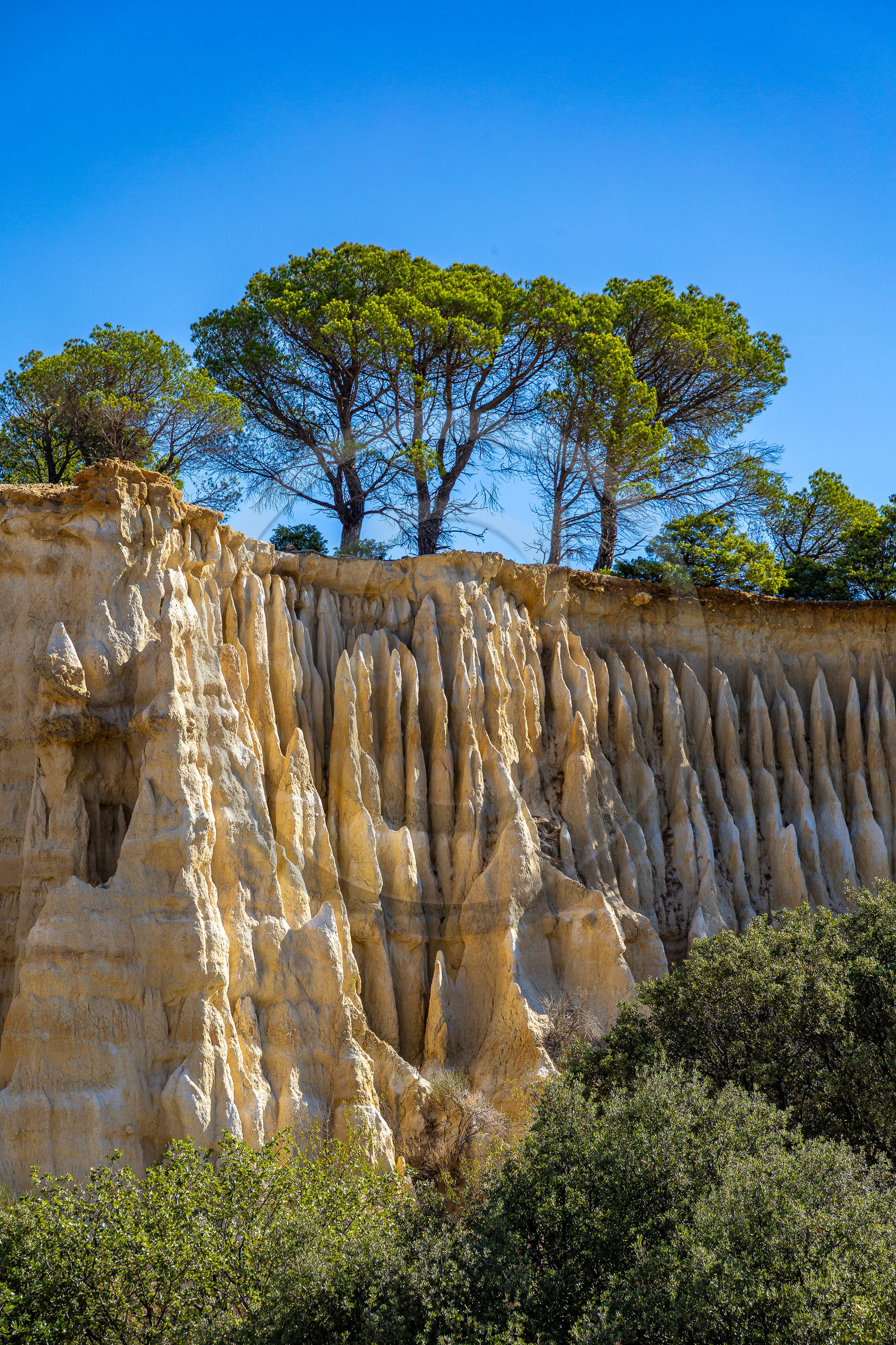 Orgues d'Ille-sur-Têt