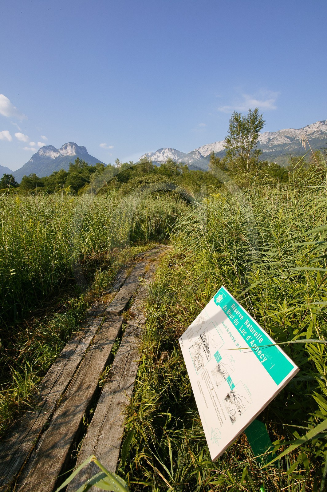 Réserve naturelle du Bout du Lac d'Annecy