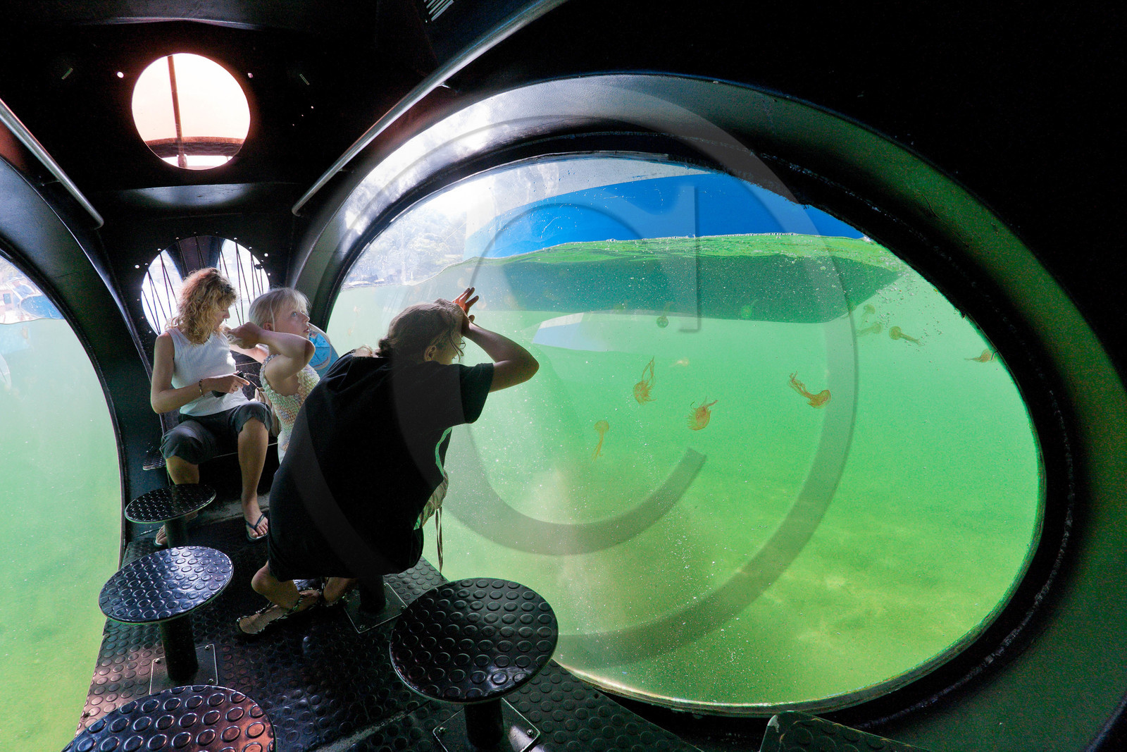 Parc national de Port-Cros, Bateau Aquascope : grâce à la coque transparentedu bateau, visite des fonds sous marins
