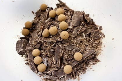 Château de Picomtal, stage de cuisine avec Luc Eyriey Maître chocolatier