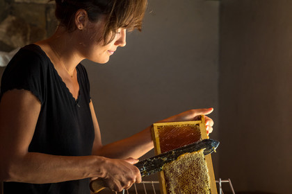 Margaux et Didier Pissard, apiculteurs