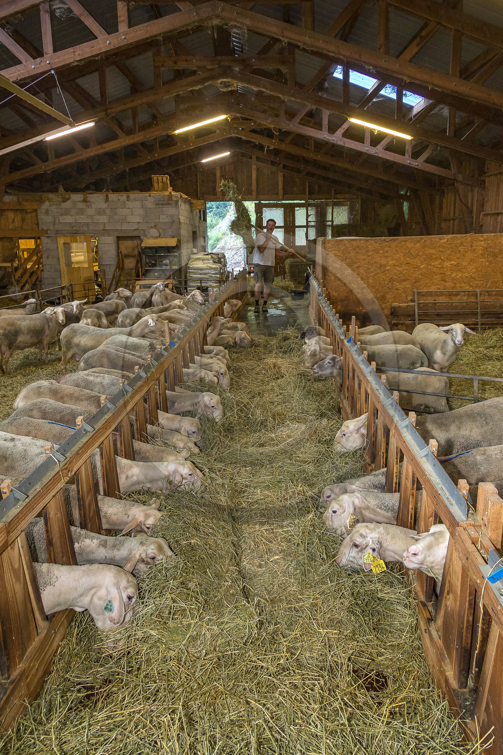 Bergerie de la Lignarre