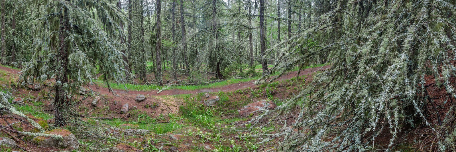 Vallée du Champsaur, sentier du Canal de Mal-Cros